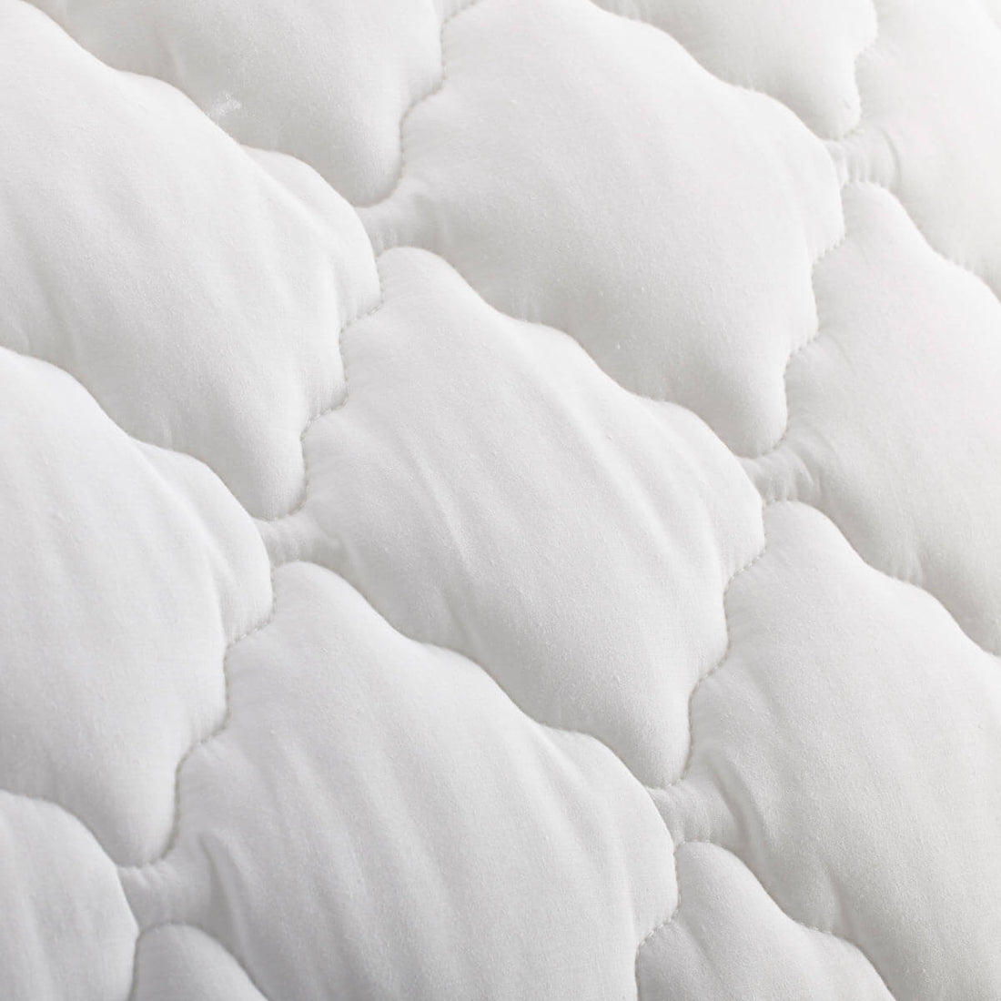 Cushion ECO San FR