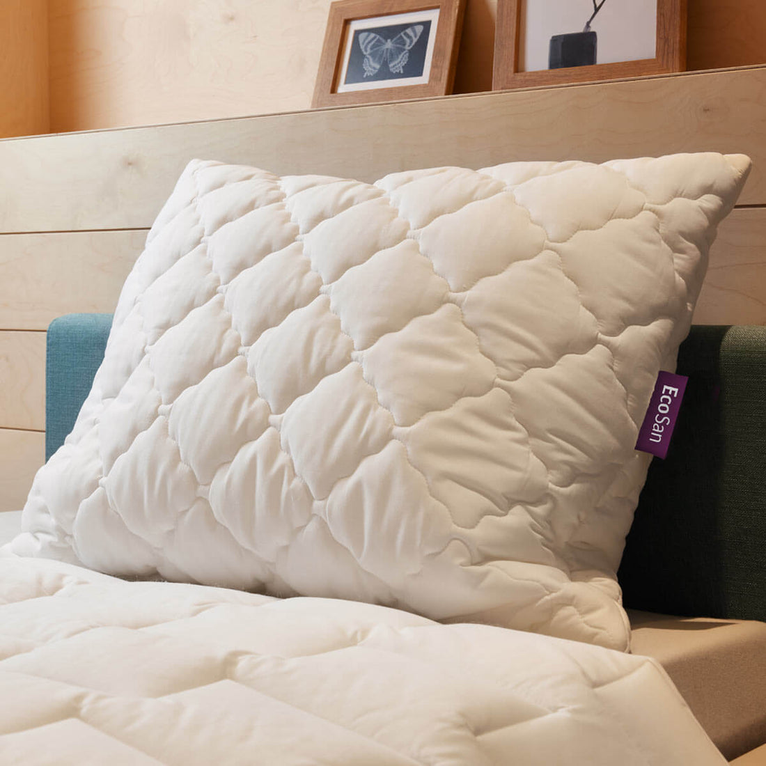 Cushion ECO San FR